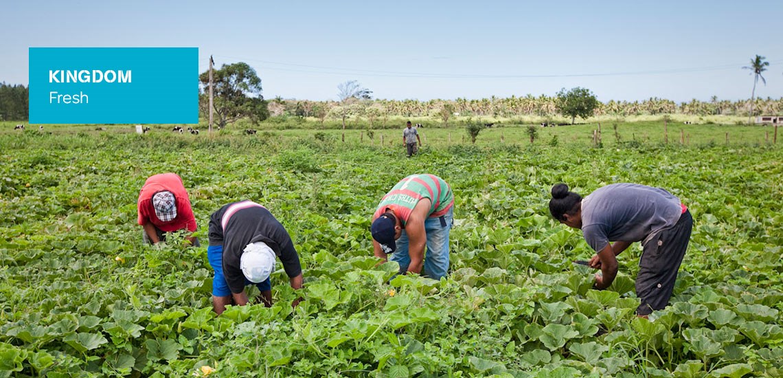 Export success story Kingdom Fresh